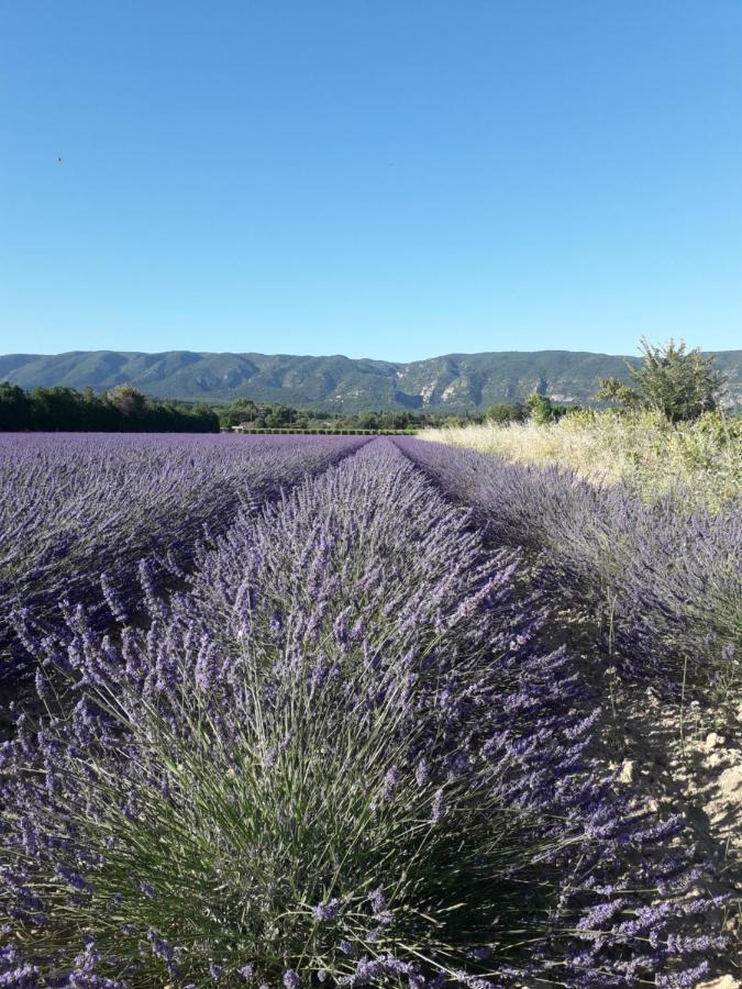 Gite Le Bagnol Un Coin De Paradis Maubec  エクステリア 写真