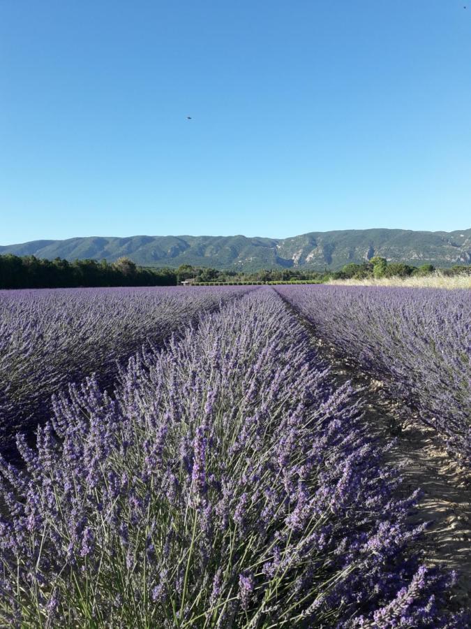 Gite Le Bagnol Un Coin De Paradis Maubec  エクステリア 写真