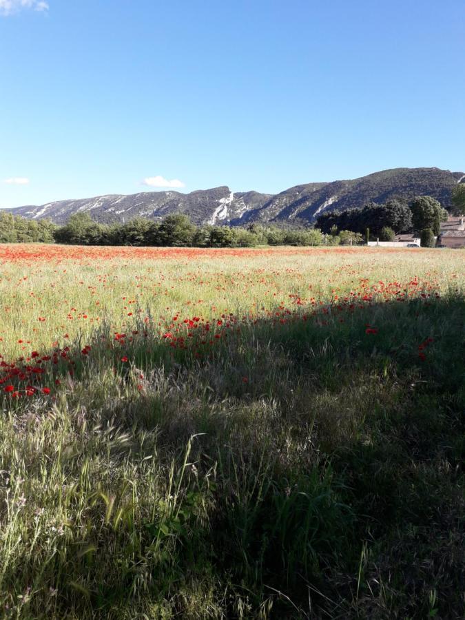 Gite Le Bagnol Un Coin De Paradis Maubec  エクステリア 写真